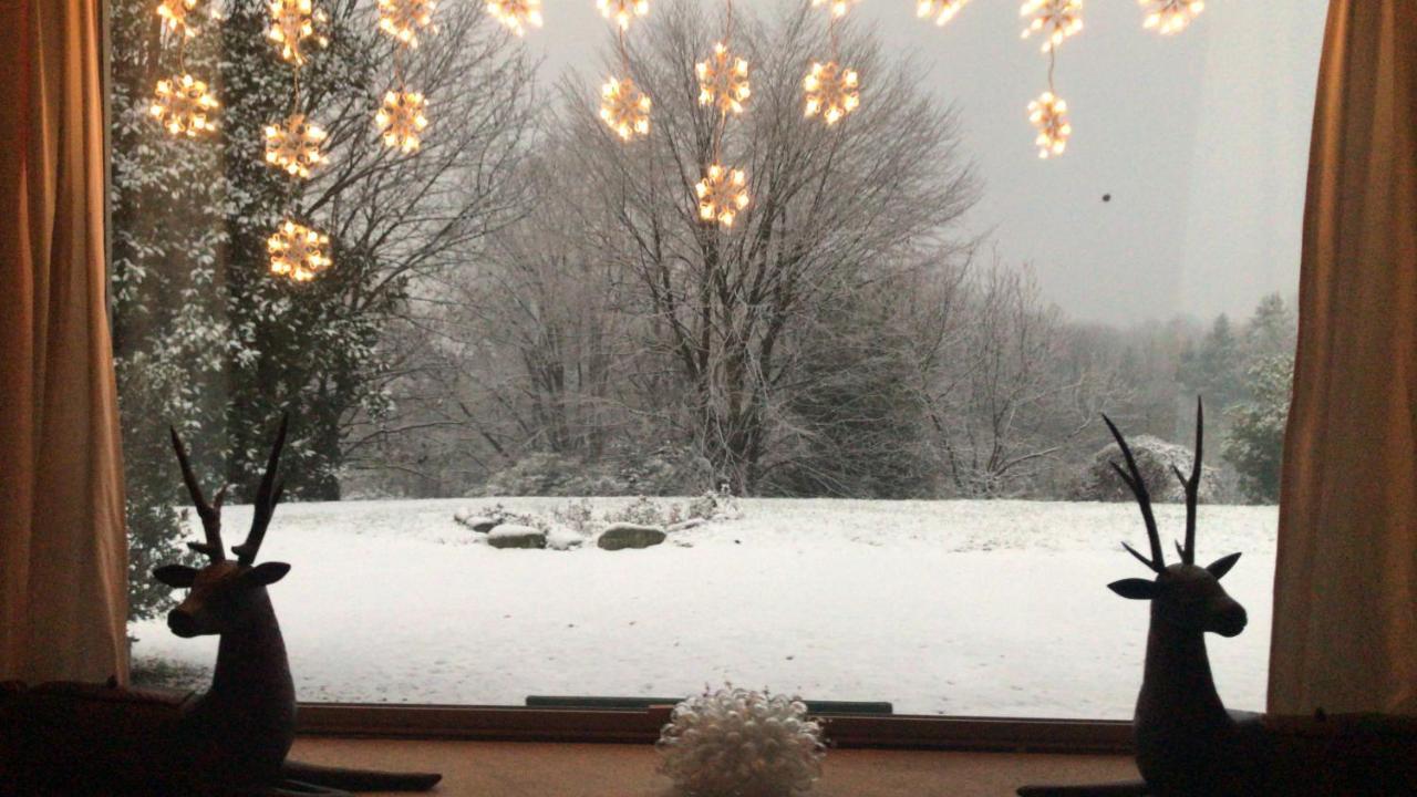 Casa Regis Panzió Lessona Kültér fotó