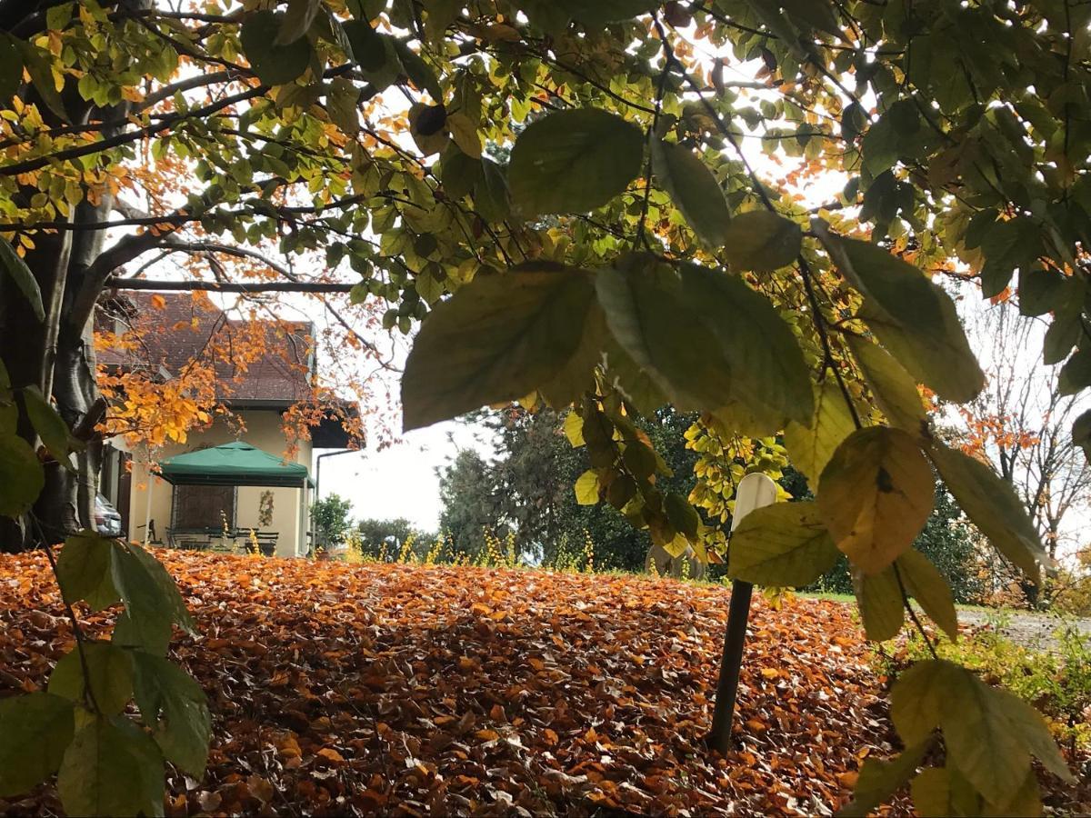 Casa Regis Panzió Lessona Kültér fotó