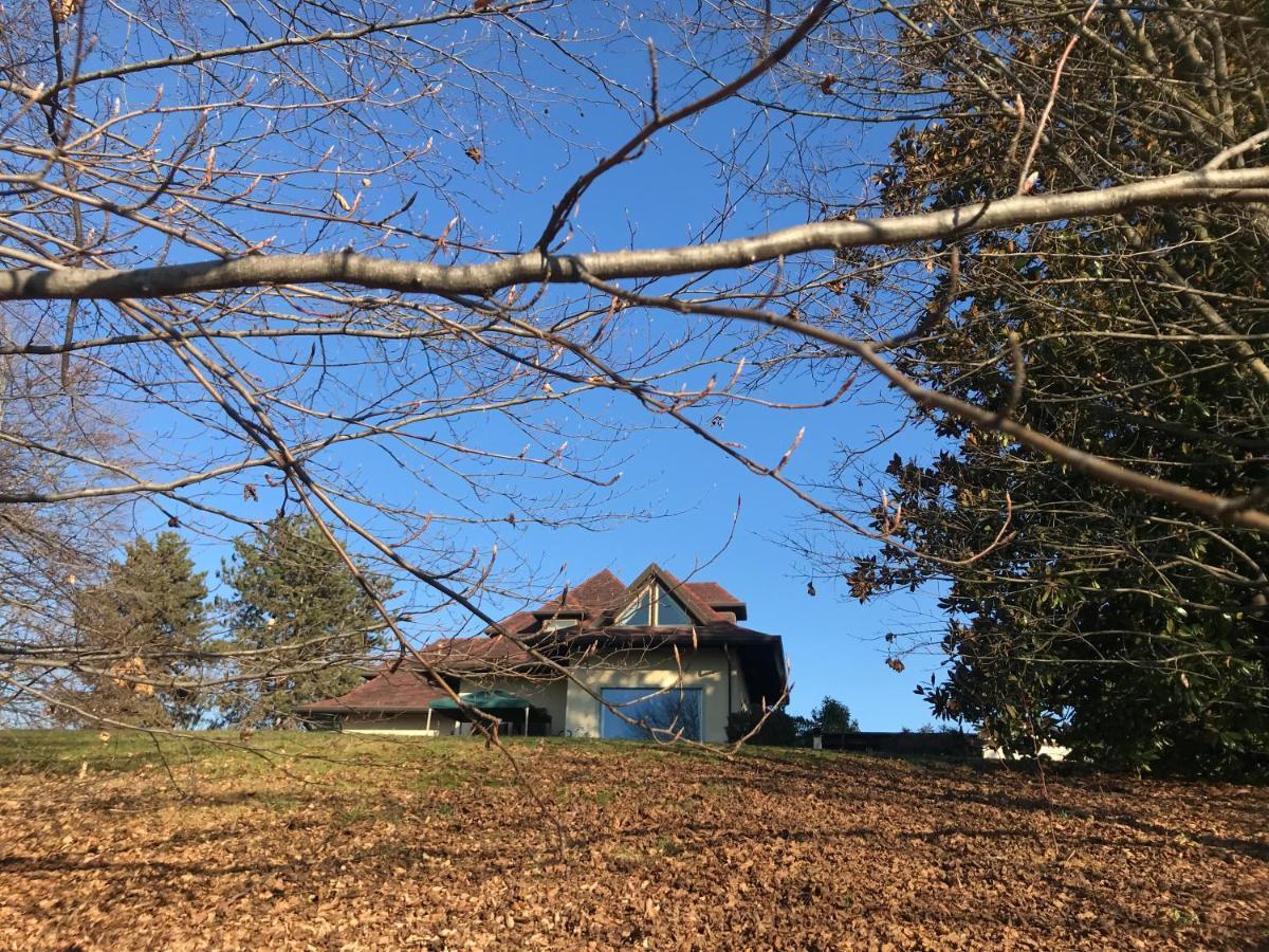 Casa Regis Panzió Lessona Kültér fotó